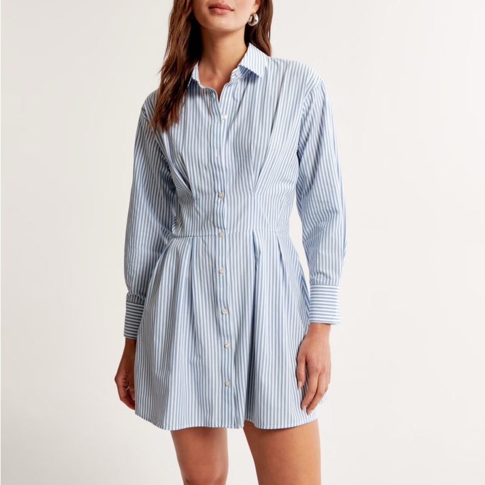 A&F Long Sleeve Poplin Shirt Dress - Blue and White Striped